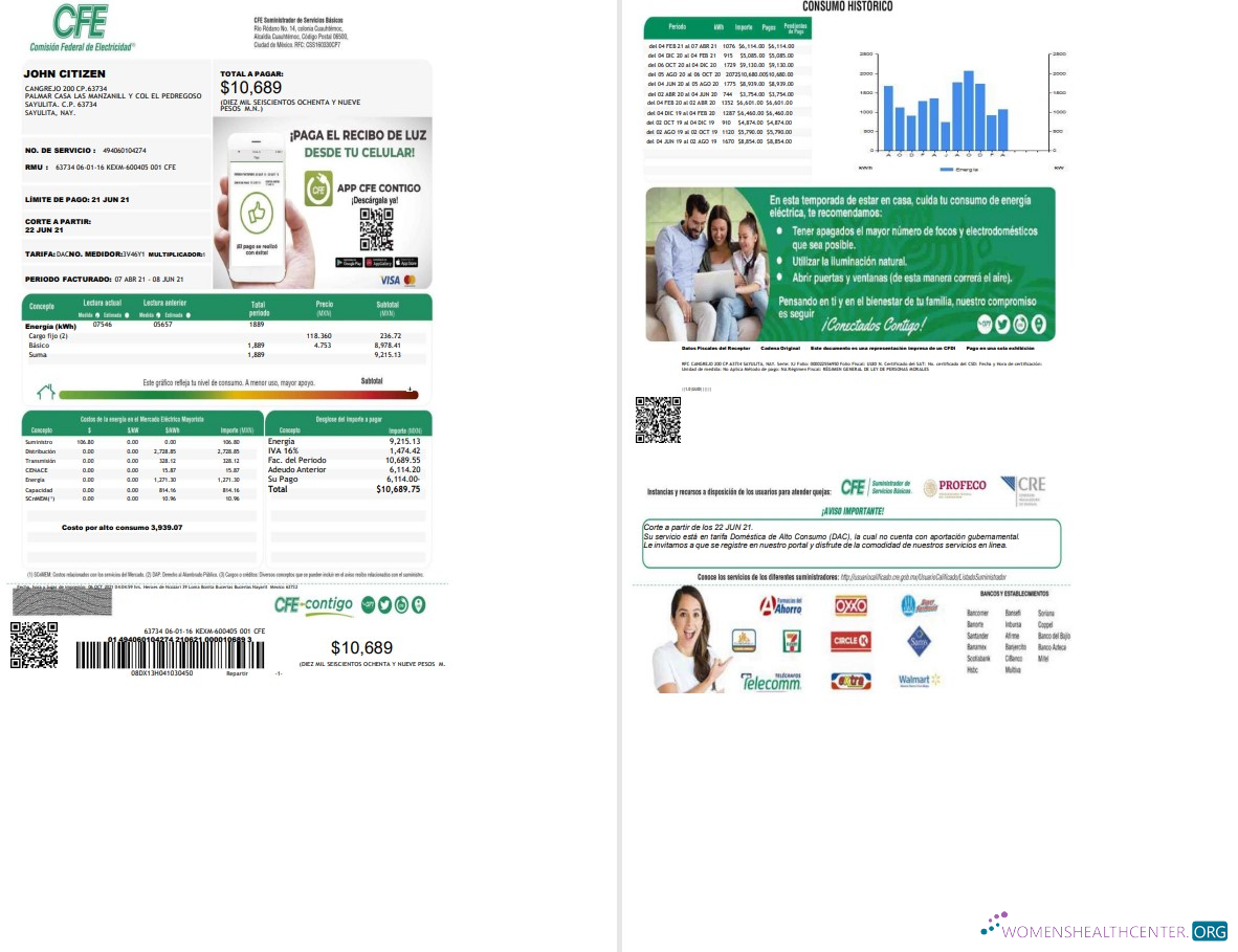 download download Mexico Federal Electricity Commission (CFE) utility bill template in Word format, 2 pages